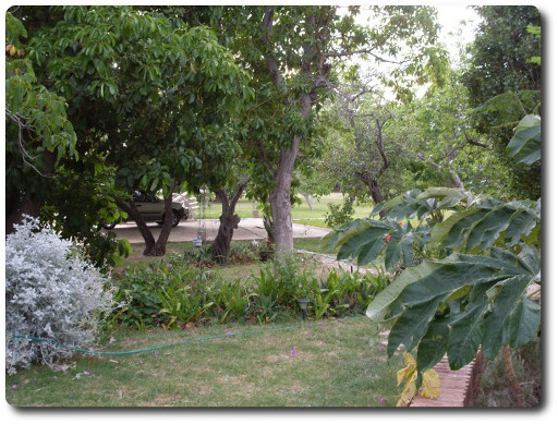 La foto muestra otra vista del amplio parque arbolado de la Hostería donde se alcanza a ver parte de la cochera cubierta. Aire puro, sol y verde para su descanso.