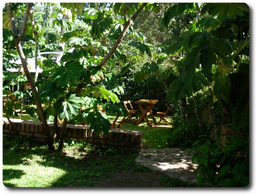 La foto muestra en un segundo plano mesas entre la vegetación que rodea la hostería disponibles para los usuarios del alojamiento.