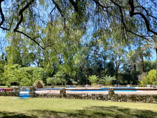 La foto muestra en el primer plano el solarium y las dos piletas rodeadas de césped para disfrutar del aire, el sol y el agua en el parque del alojamiento. En un segundo plano se pueden ver sillas y árboles.